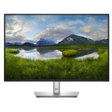 Dell 24 Monitor - P2425