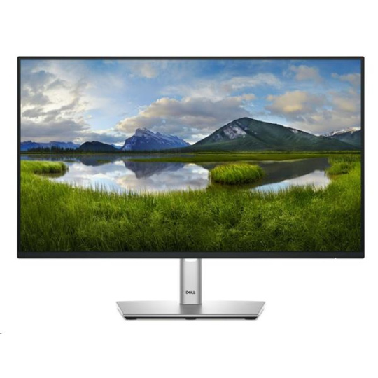 Dell 24 Monitor - P2425H