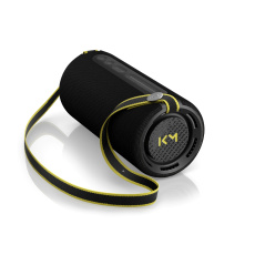 We by Loewe We.HEAR pro black, Portable Speaker 100 W, Bluetooth 5.3, IPX6